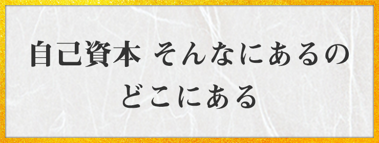 自己資本 そんなにあるの どこにある