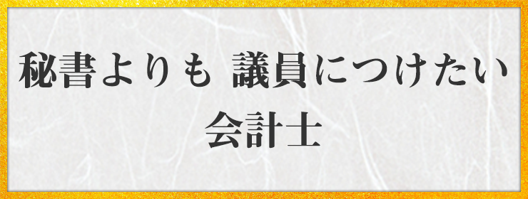 秘書よりも 議員につけたい　会計士