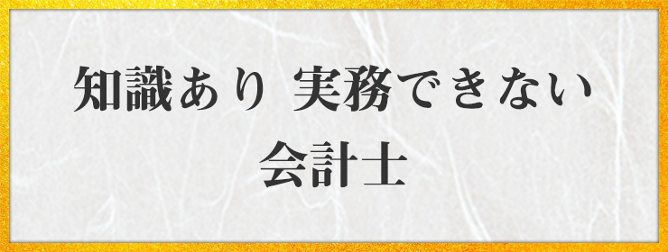 知識あり 実務できない 会計士