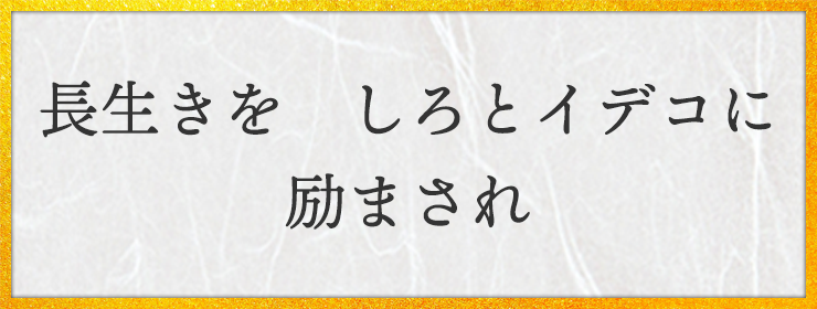 長生きを　しろとイデコに　励まされ